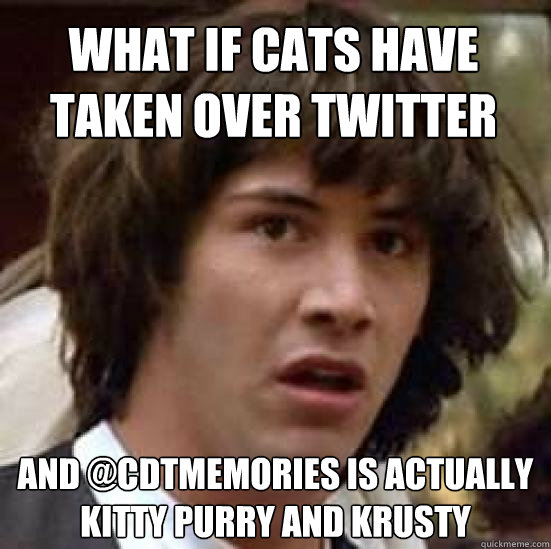 what if cats have taken over twitter and @CDTmemories is actually kitty purry and krusty  conspiracy keanu