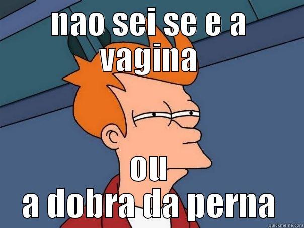 NAO SEI SE E A VAGINA OU A DOBRA DA PERNA Futurama Fry