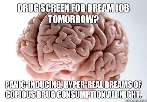 Drug screen for dream job tomorrow? Panic-inducing, hyper-real dreams of copious drug consumption all night.  Scumbag Brain