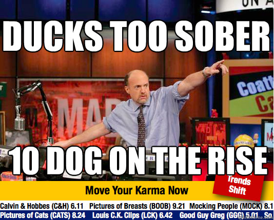 ducks too sober 10 dog on the rise  Mad Karma with Jim Cramer