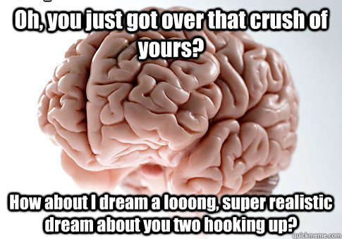 Oh, you just got over that crush of yours? How about I dream a looong, super realistic dream about you two hooking up?  Caption 4 goes here Caption 5 goes here  Scumbag Brain