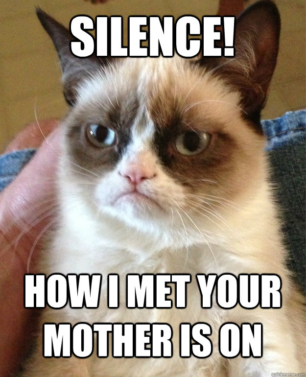 Silence! How I Met Your Mother Is On  Grumpy Cat