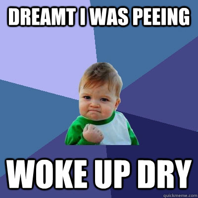 dreamt i was peeing Woke up dry  Success Kid