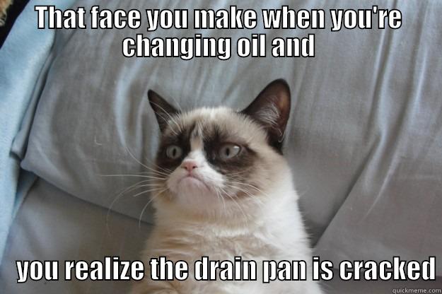 leaky drain pan oil change - THAT FACE YOU MAKE WHEN YOU'RE CHANGING OIL AND     YOU REALIZE THE DRAIN PAN IS CRACKED Grumpy Cat