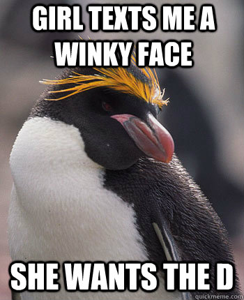 Girl texts me a winky face she wants the D - Girl texts me a winky face she wants the D  Socially Overconfident Penguin