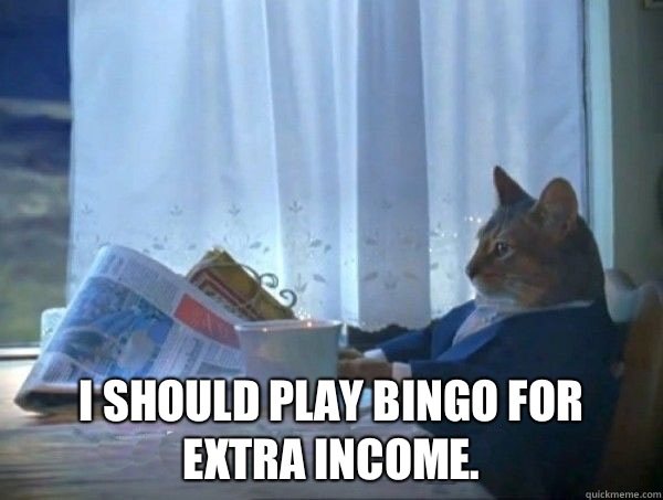  I should play bingo for extra income.  morning realization newspaper cat meme