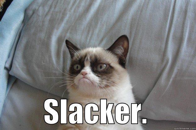  SLACKER. Grumpy Cat