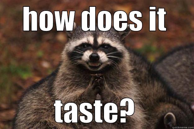 HOW DOES IT TASTE? Evil Plotting Raccoon