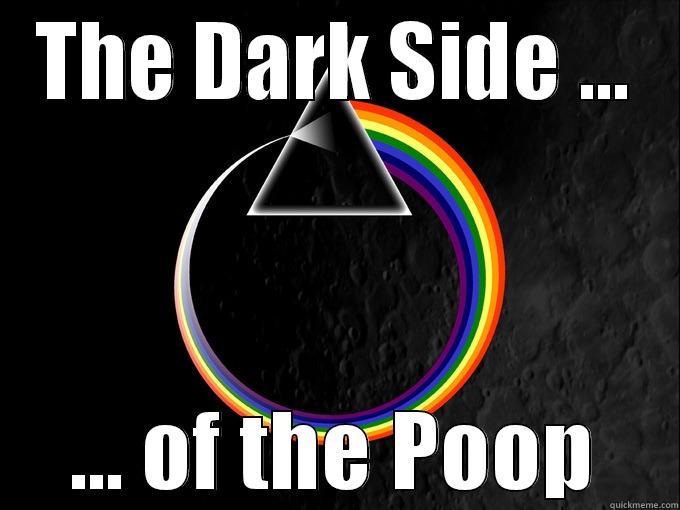 THE DARK SIDE ... ... OF THE POOP Misc