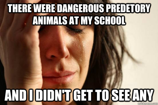 There were Dangerous predetory animals at my school and i didn't get to see any  First World Problems