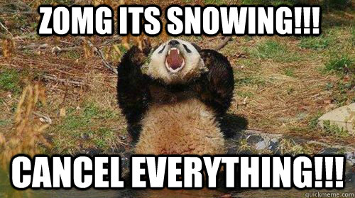 ZOMG ITS SNOWING!!! CANCEL EVERYTHING!!!  Yelling Panda