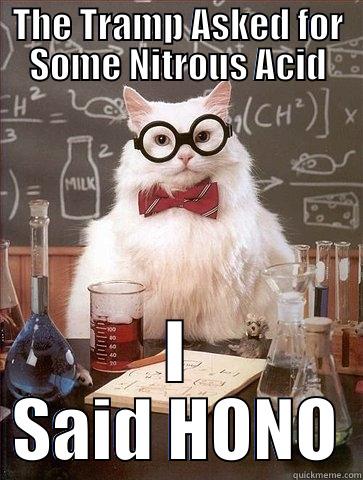 Acidic Replies - THE TRAMP ASKED FOR SOME NITROUS ACID I SAID HONO Chemistry Cat