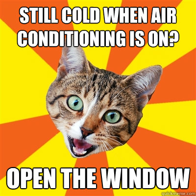 Still cold when air conditioning is on? Open the window  Bad Advice Cat