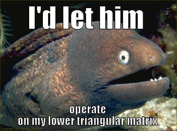 I'D LET HIM OPERATE ON MY LOWER TRIANGULAR MATRIX Bad Joke Eel