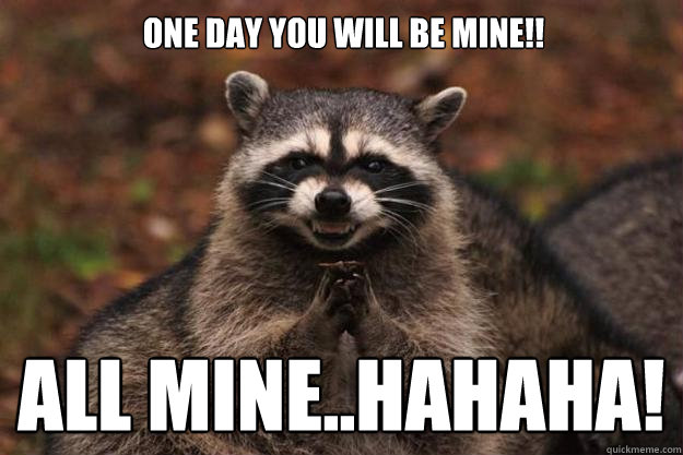 one day you will be mine!! all mine..hahaha!  Evil Plotting Raccoon