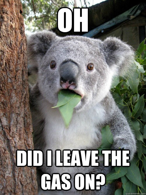 oh did i leave the gas on? - oh did i leave the gas on?  koala bear