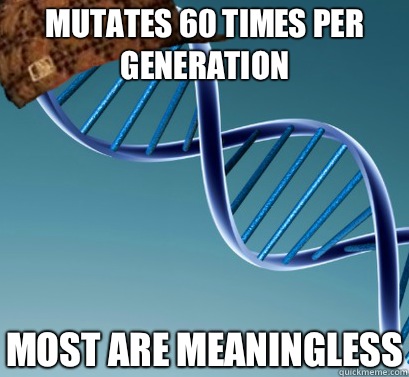 Mutates 60 times per generation Most are Meaningless  Scumbag DNA