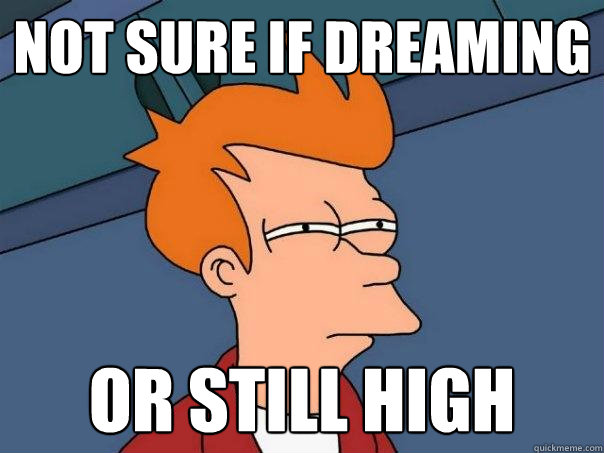 Not sure if dreaming or still high
  Futurama Fry