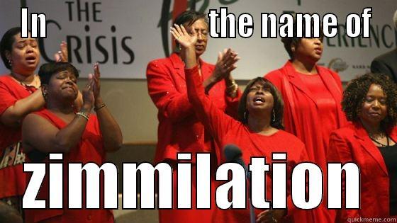 in the name of zimmilation - IN                            THE NAME OF ZIMMILATION Misc