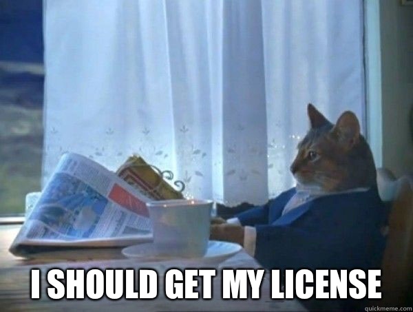  I should get my license  morning realization newspaper cat meme