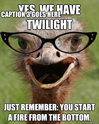 Yes, we have Twilight Just remember: you start a fire from the bottom. Caption 3 goes here  Judgmental Bookseller Ostrich