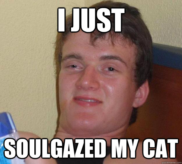 I just soulgazed my cat - I just soulgazed my cat  10 Guy