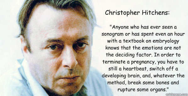 Christopher Hitchens: 