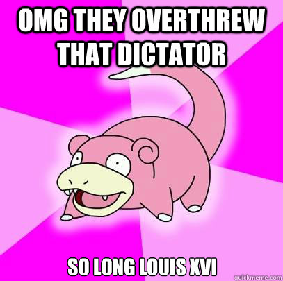 Omg they overthrew that dictator So long louis XVI  Slowpoke