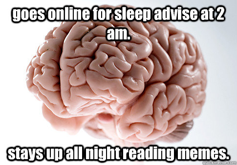 goes online for sleep advise at 2 am. stays up all night reading memes.   Scumbag Brain