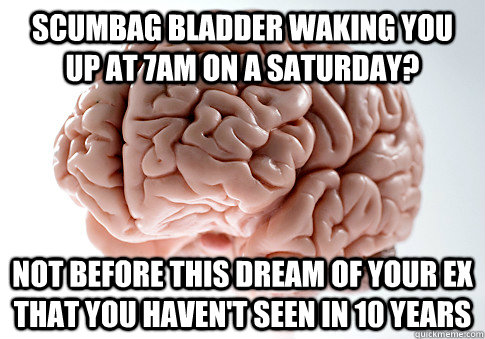 SCUMBAG BLADDER WAKING YOU UP AT 7AM ON A SATURDAY? NOT BEFORE THIS DREAM OF YOUR EX THAT YOU HAVEN'T SEEN IN 10 YEARS  Scumbag Brain