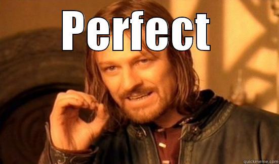 PERFECT  Boromir