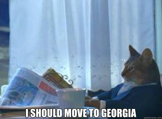 I should move to Georgia   I should buy a boat cat