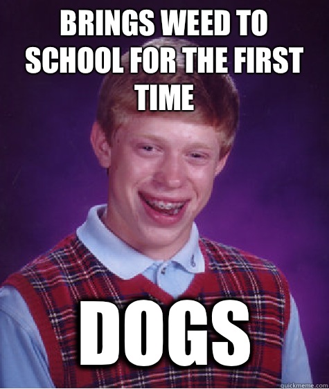 Brings weed to school for the first time Dogs  Bad Luck Brian