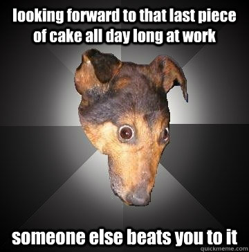 looking forward to that last piece of cake all day long at work someone else beats you to it  Depression Dog