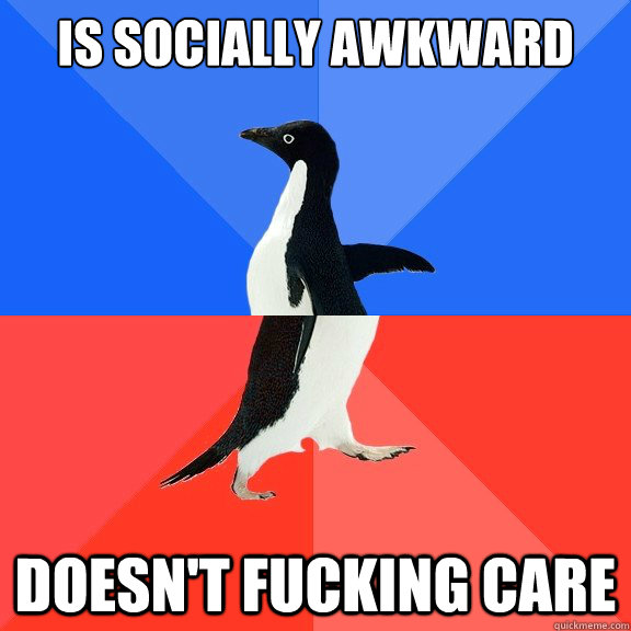 is socially awkward doesn't fucking care  Socially Awkward Awesome Penguin