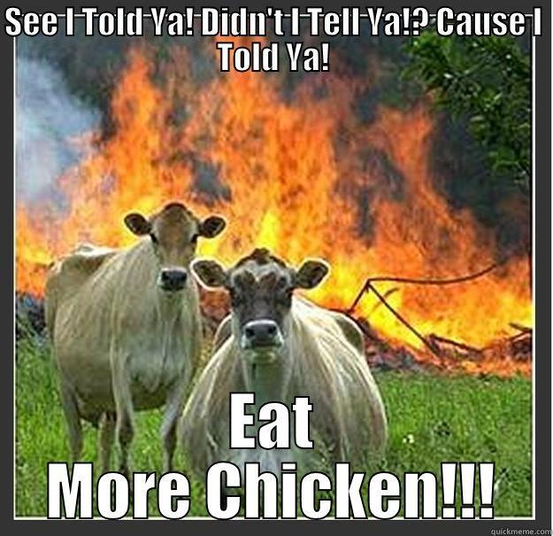 SEE I TOLD YA! DIDN'T I TELL YA!? CAUSE I TOLD YA! EAT MORE CHICKEN!!! Evil cows