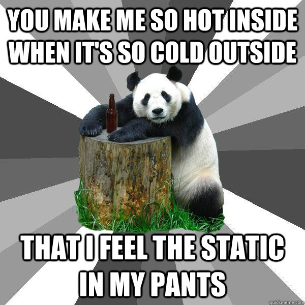 You make me so hot inside when it's so cold outside That I feel the static in my pants  Pickup-Line Panda