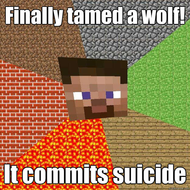 Finally tamed a wolf! It commits suicide  Minecraft