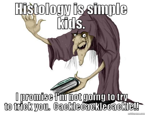 Histology witch - HISTOLOGY IS SIMPLE KIDS. I PROMISE I'M NOT GOING TO TRY TO TRICK YOU.  CACKLECACKLECACKLE!! Misc