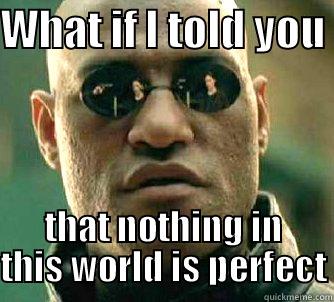 belief meme(2 of 2) - WHAT IF I TOLD YOU  THAT NOTHING IN THIS WORLD IS PERFECT Matrix Morpheus