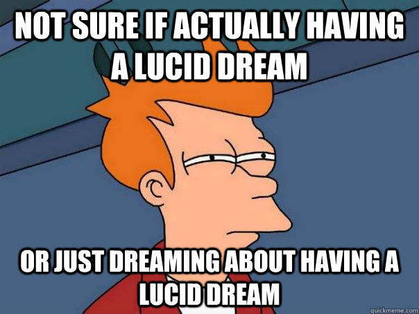 Not sure if actually having a lucid dream Or just dreaming about having a lucid dream  Futurama Fry