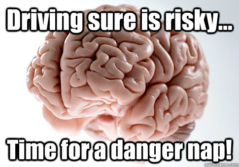 Driving sure is risky... Time for a danger nap!   Scumbag Brain