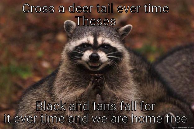 CROSS A DEER TAIL EVER TIME THESES BLACK AND TANS FALL FOR IT EVER TIME AND WE ARE HOME FREE Evil Plotting Raccoon