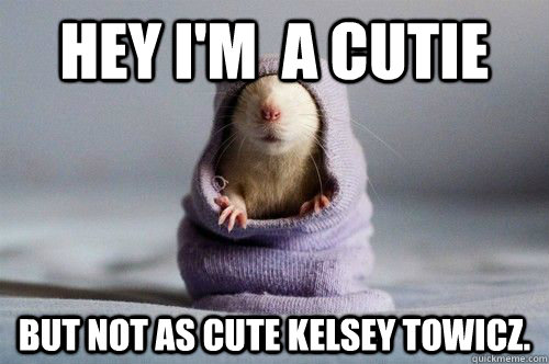 hey i'm  a cutie but not as cute Kelsey Towicz.   kelsey