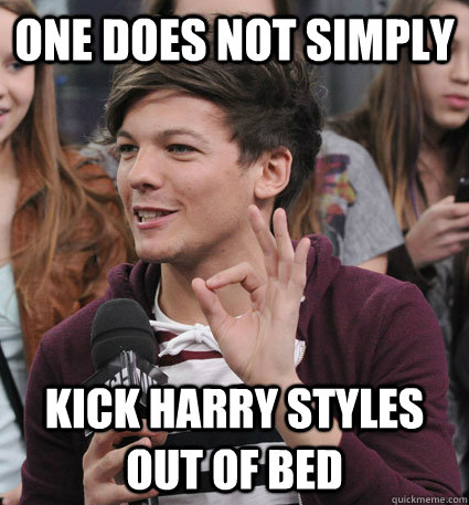 ONE DOES NOT SIMPLY KICK HARRY STYLES OUT OF BED LOUIS MEME Quickmeme