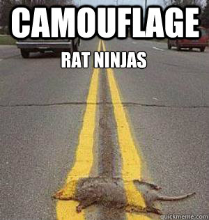 Camouflage Rat Ninjas  Camouflage