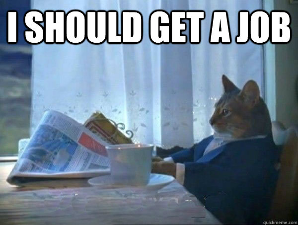 I should get a job  - I should get a job   morning realization newspaper cat meme