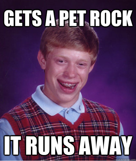 GETS A PET ROCK it runs away  Bad Luck Brian