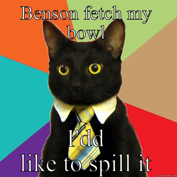 BENSON FETCH MY BOWL I'DD LIKE TO SPILL IT Business Cat