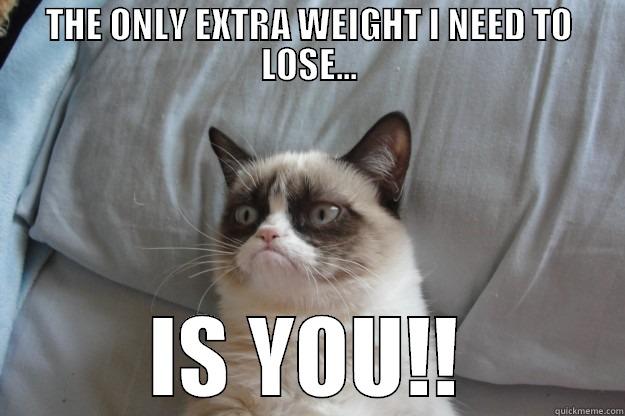 GRUMPY CAT - THE ONLY EXTRA WEIGHT I NEED TO LOSE... IS YOU!! Grumpy Cat